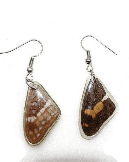 Small brown wings earrings, reisn coated butterfly earrings, two different sides