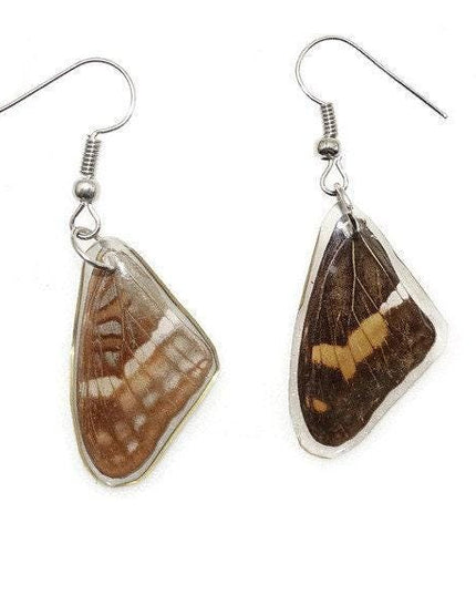 Small brown wings earrings, reisn coated butterfly earrings, two different sides