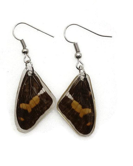 Small brown wings earrings, reisn coated butterfly earrings, two different sides