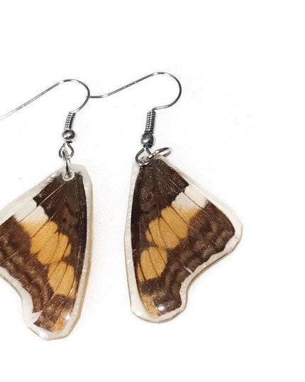 Two sided real butterfly wings earrings
