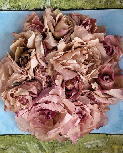 Dried rose herbarium shadowbox: watercolor & acrylic botanical artwork