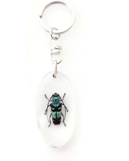 Teal Longhorn Beetle Keyring, Real Insect, Taxidermy Bug, Epoxy Keychain