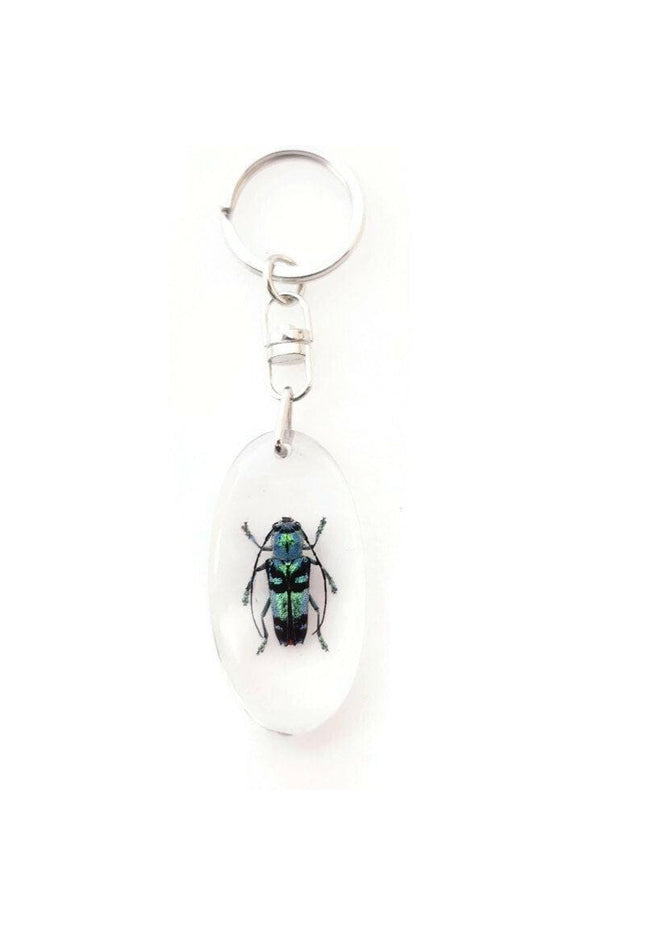 Teal Longhorn Beetle Keyring, Real Insect, Taxidermy Bug, Epoxy Keychain