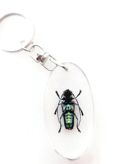 Teal Longhorn Beetle Keyring, Real Insect, Taxidermy Bug, Epoxy Keychain
