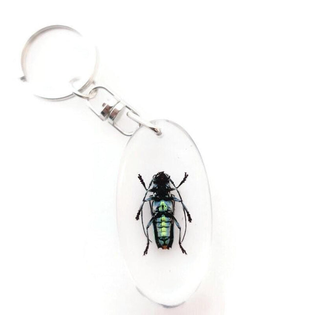 Teal Longhorn Beetle Keyring, Real Insect, Taxidermy Bug, Epoxy Keychain