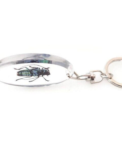Teal Longhorn Beetle Keyring, Real Insect, Taxidermy Bug, Epoxy Keychain