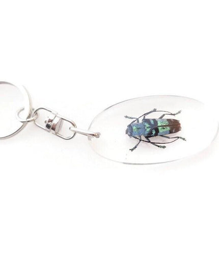 Teal Longhorn Beetle Keyring, Real Insect, Taxidermy Bug, Epoxy Keychain