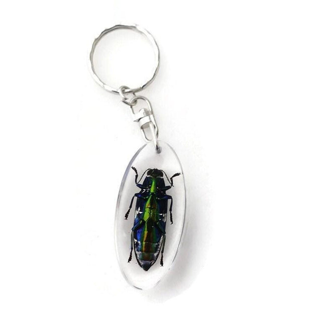 Chrysochroa aurora beetle resin keychain: metallic wood-boring bug