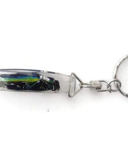 Chrysochroa aurora beetle resin keychain: metallic wood-boring bug