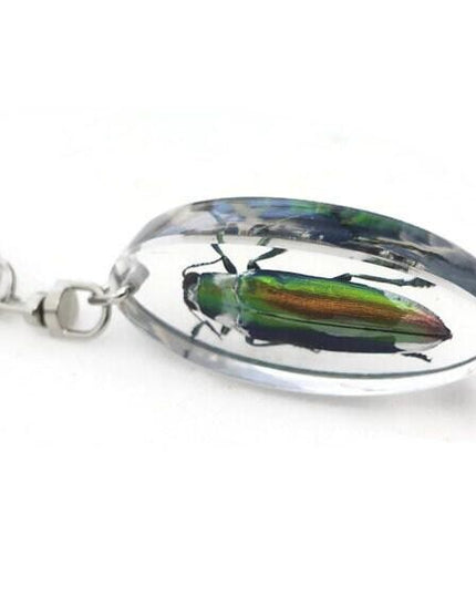 Chrysochroa aurora beetle resin keychain: metallic wood-boring bug