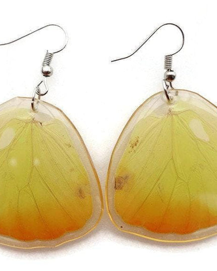 Real butterfly wing earrings: yellow resin coated jewelry