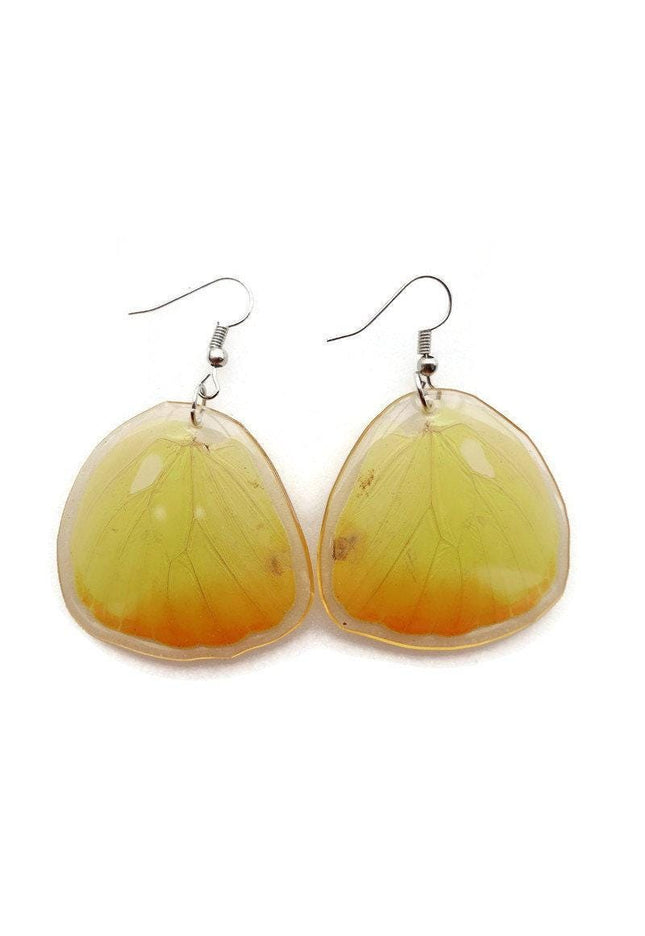 Real butterfly wing earrings: yellow resin coated jewelry