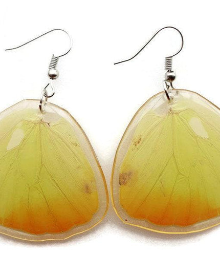 Real butterfly wing earrings: yellow resin coated jewelry