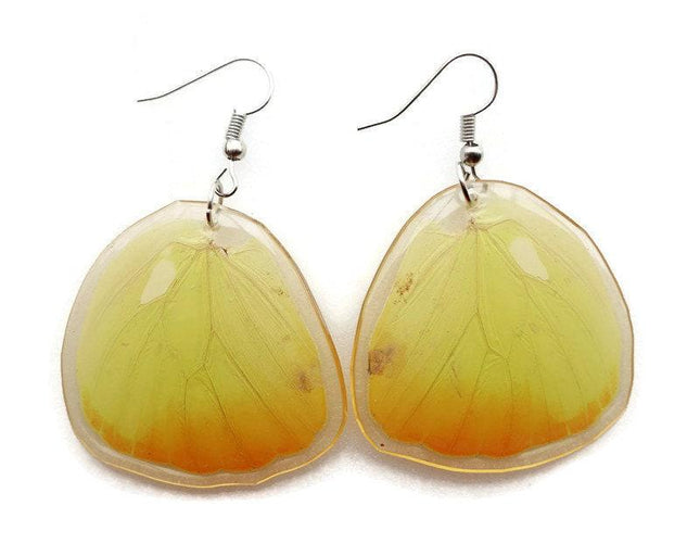 Real butterfly wing earrings: yellow resin coated jewelry