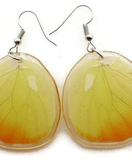 Real butterfly wing earrings: yellow resin coated jewelry