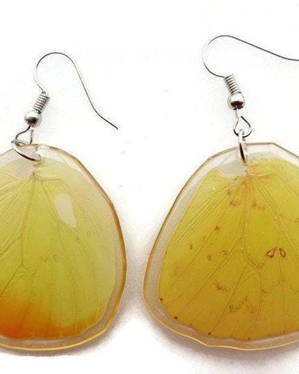Real butterfly wing earrings: yellow resin coated jewelry