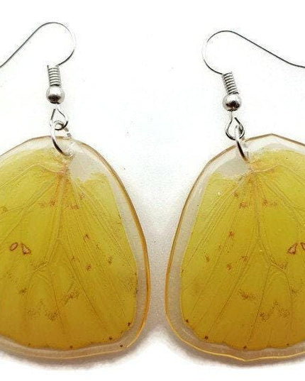 Real butterfly wing earrings: yellow resin coated jewelry