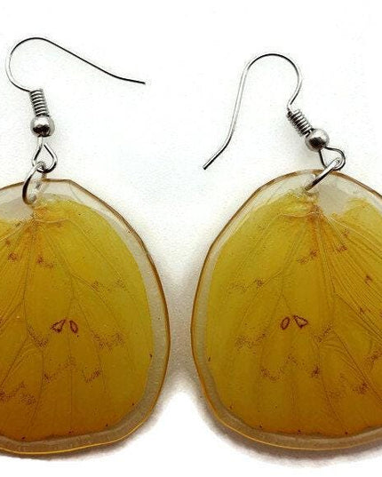 Real butterfly wing earrings: yellow resin coated jewelry