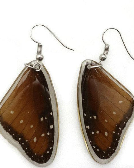 Queen danaus gilippus- forewings wings earrings real butterfly