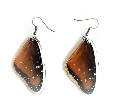 Queen danaus gilippus- forewings wings earrings real butterfly