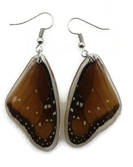 Queen danaus gilippus- forewings wings earrings real butterfly