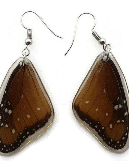 Queen danaus gilippus- forewings wings earrings real butterfly