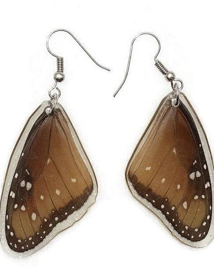 Queen danaus gilippus- forewings wings earrings real butterfly