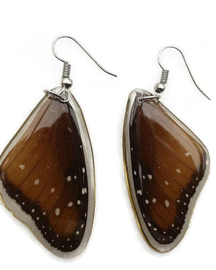 Queen danaus gilippus- forewings wings earrings real butterfly