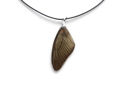 Real butterfly wing necklace: battus laodamas swallowtail pendant