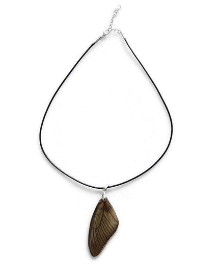 Real butterfly wing necklace: battus laodamas swallowtail pendant