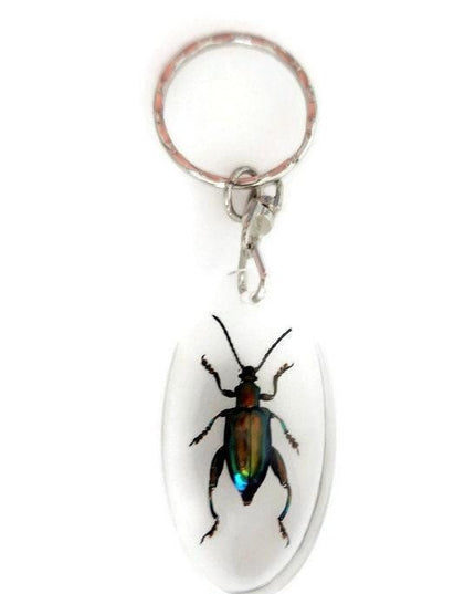 Frog beetle keychain: metallic green insect resin keyring