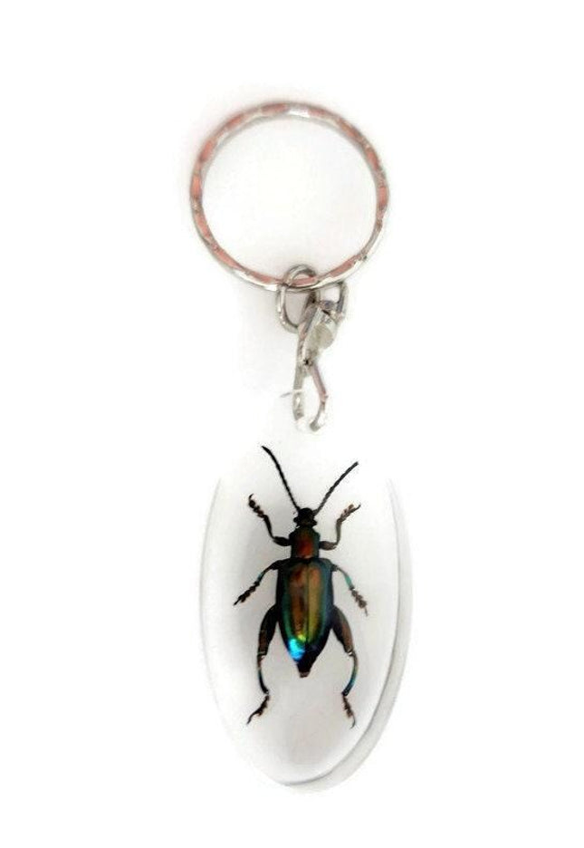 Frog beetle keychain: metallic green insect resin keyring