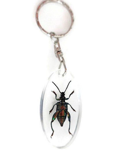 Frog beetle keychain: metallic green insect resin keyring