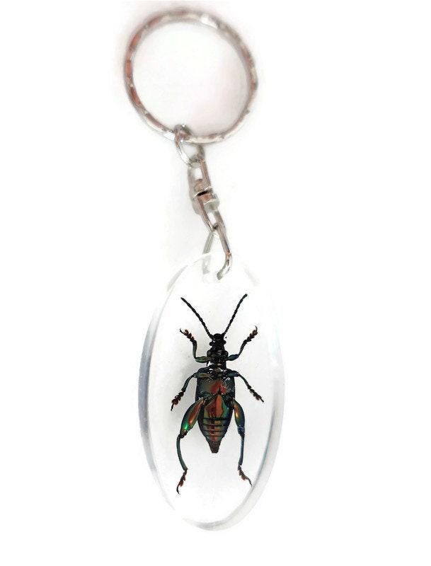 Frog beetle keychain: metallic green insect resin keyring