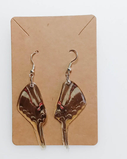 Real wings earrings coated in resin, eurytides philolaus, the dark zebra swallowtail or dark kite-swallowtail