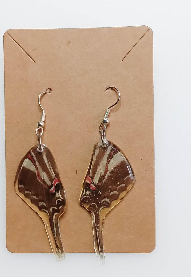 Real wings earrings coated in resin, eurytides philolaus, the dark zebra swallowtail or dark kite-swallowtail