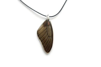 Real butterfly wing necklace: battus laodamas swallowtail pendant