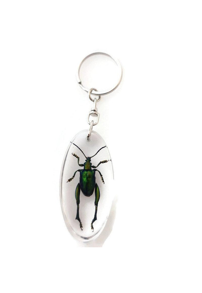 Real metallic green frog beetle keychain - sagra longicollis resin keyring