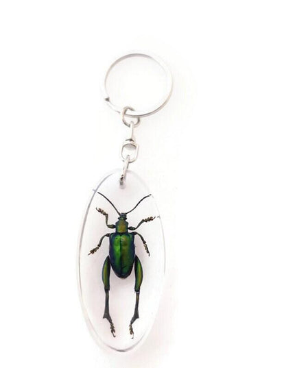 Real metallic green frog beetle keychain - sagra longicollis resin keyring