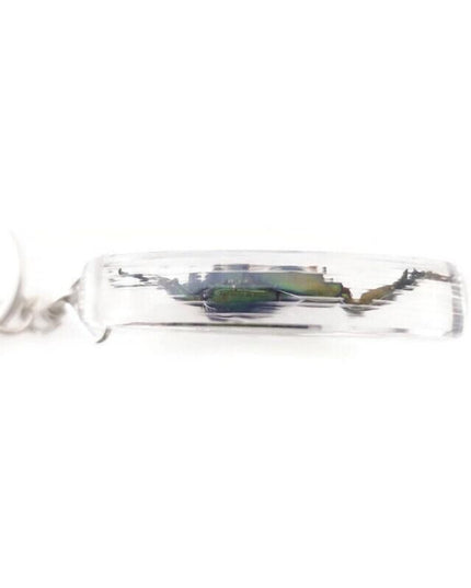 Real metallic green frog beetle keychain - sagra longicollis resin keyring