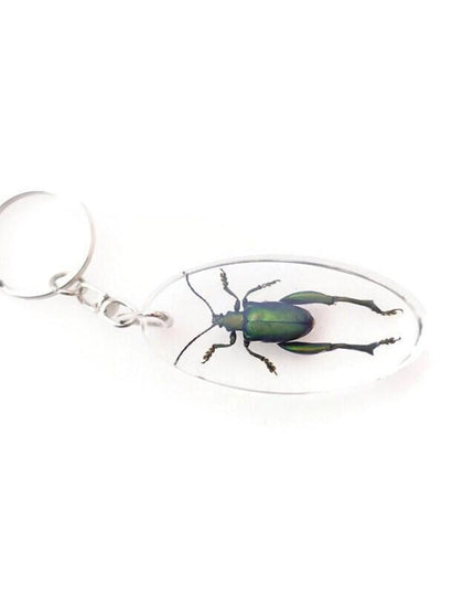Real metallic green frog beetle keychain - sagra longicollis resin keyring