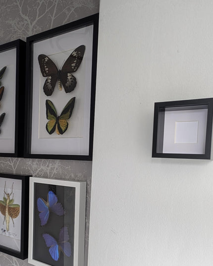 Black 3d box photo frame 4x4: standing or hanging display