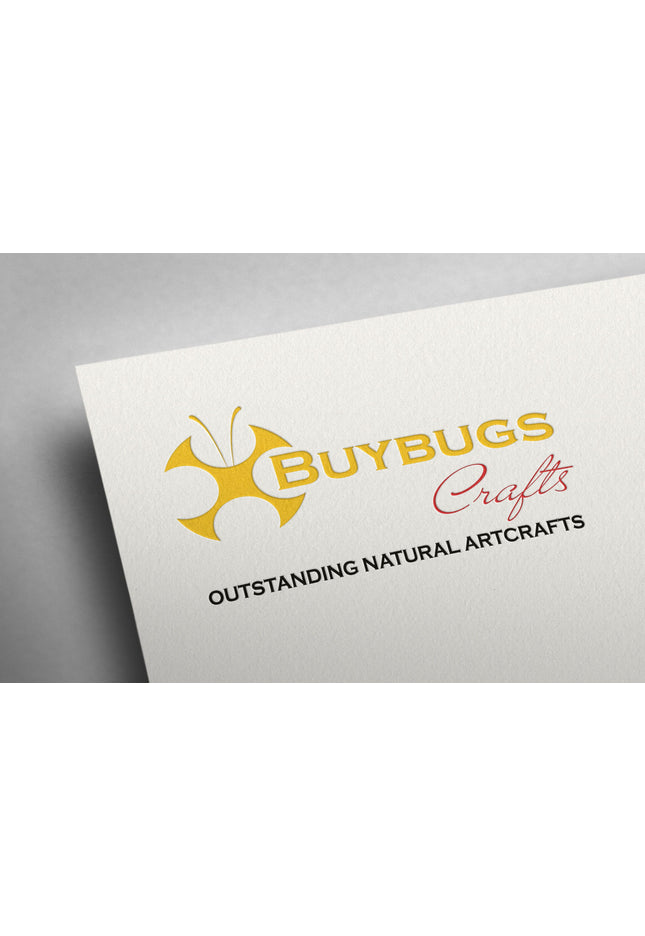 Pseudolycaena damo pair, sky-blue hairstreak, wall decor, taxidermy gift, entomology present, ethically soured, wall decor, frame 6" x 6"