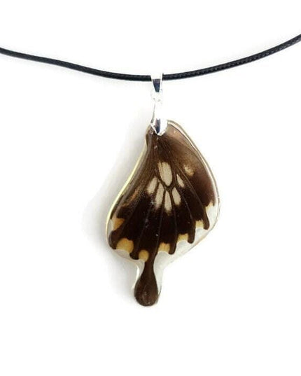 Real butterfly wing pendant: resin coated necklace, 47cm cord
