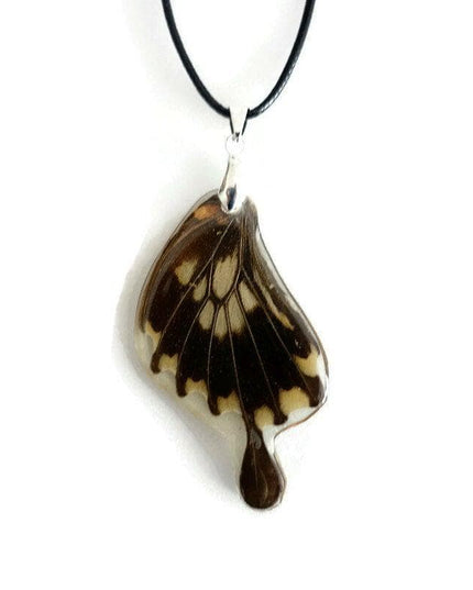 Real butterfly wing pendant: resin coated necklace, 47cm cord