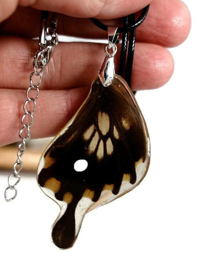 Real butterfly wing pendant: resin coated necklace, 47cm cord