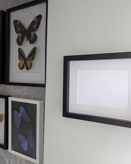 8x10 black 3d box photo frame: shadow picture display
