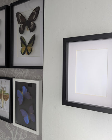 8x10 black 3d box photo frame: shadow picture display