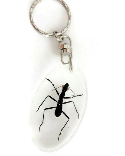 Real ant keychain, resin keyring, formicinae ssp