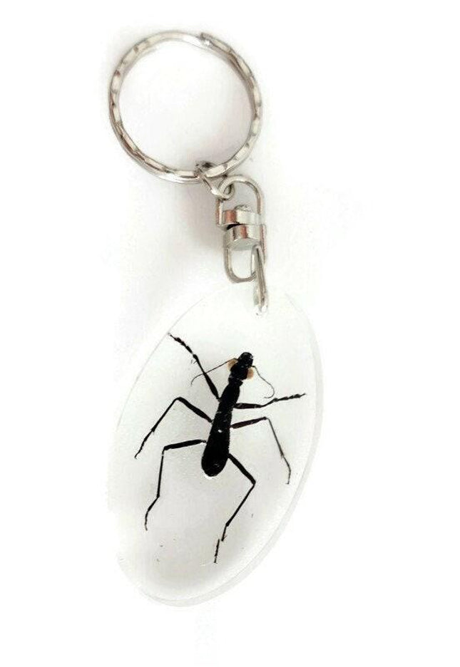 Real ant keychain, resin keyring, formicinae ssp
